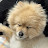 @mong_catering