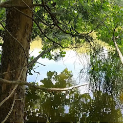 OYOutdoors