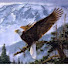 DgrY5B3aIyc-channel-avatar-OILAVIY TV