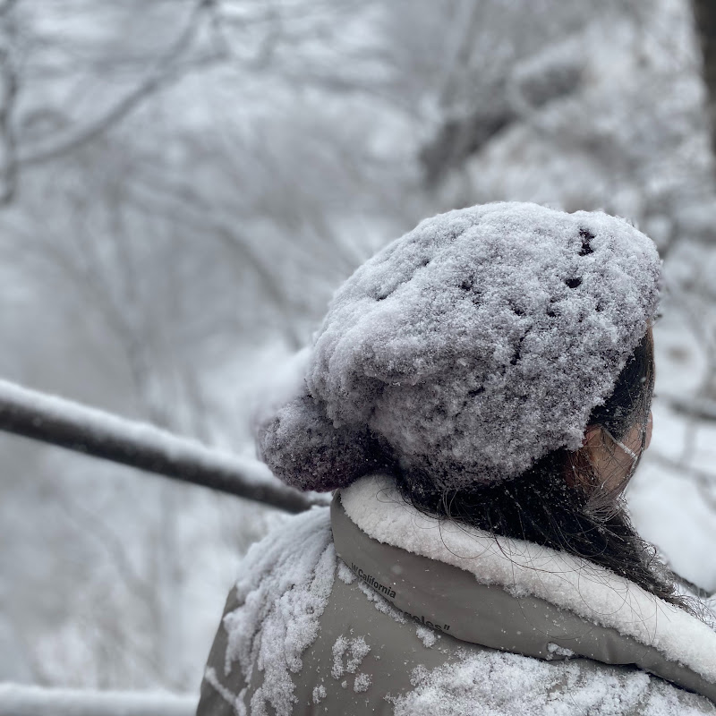 산미녀