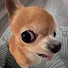 --SkfTJaaeY-channel-avatar-Inganni da Scrivania