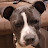 @godhand6510's avatar