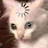 @NikitaLisouski Avatar