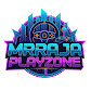 MR RAJA PLAYZONE
