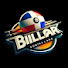TOZorr9LjoE-channel-avatar-billar dominicano 