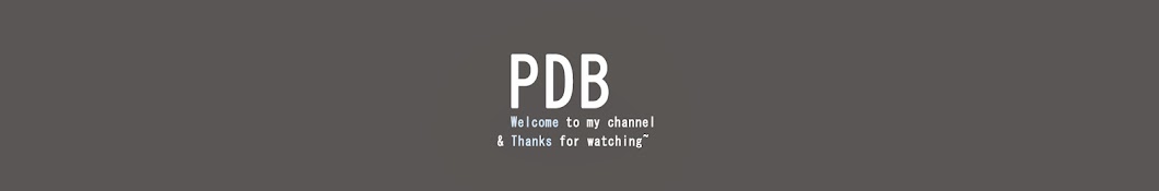 PDB YouTube channel avatar