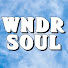 VdnY-z03UuE-channel-avatar-wndrsoul