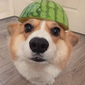FunContent
