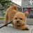 @mongmong_ee