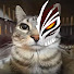 csboILF5eO8-channel-avatar-Drekkit19