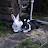 @aadithebunnylover3678