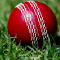 Cricket Alert logo