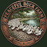 JtTnqzZ45Jg-channel-avatar-Peaceful Duck Farm