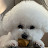 @아키화랑