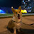 @wonmoveminpd