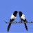 @JJ2023. Avatar