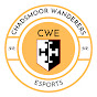 Chadsmoor Wanderers Esports Team logo