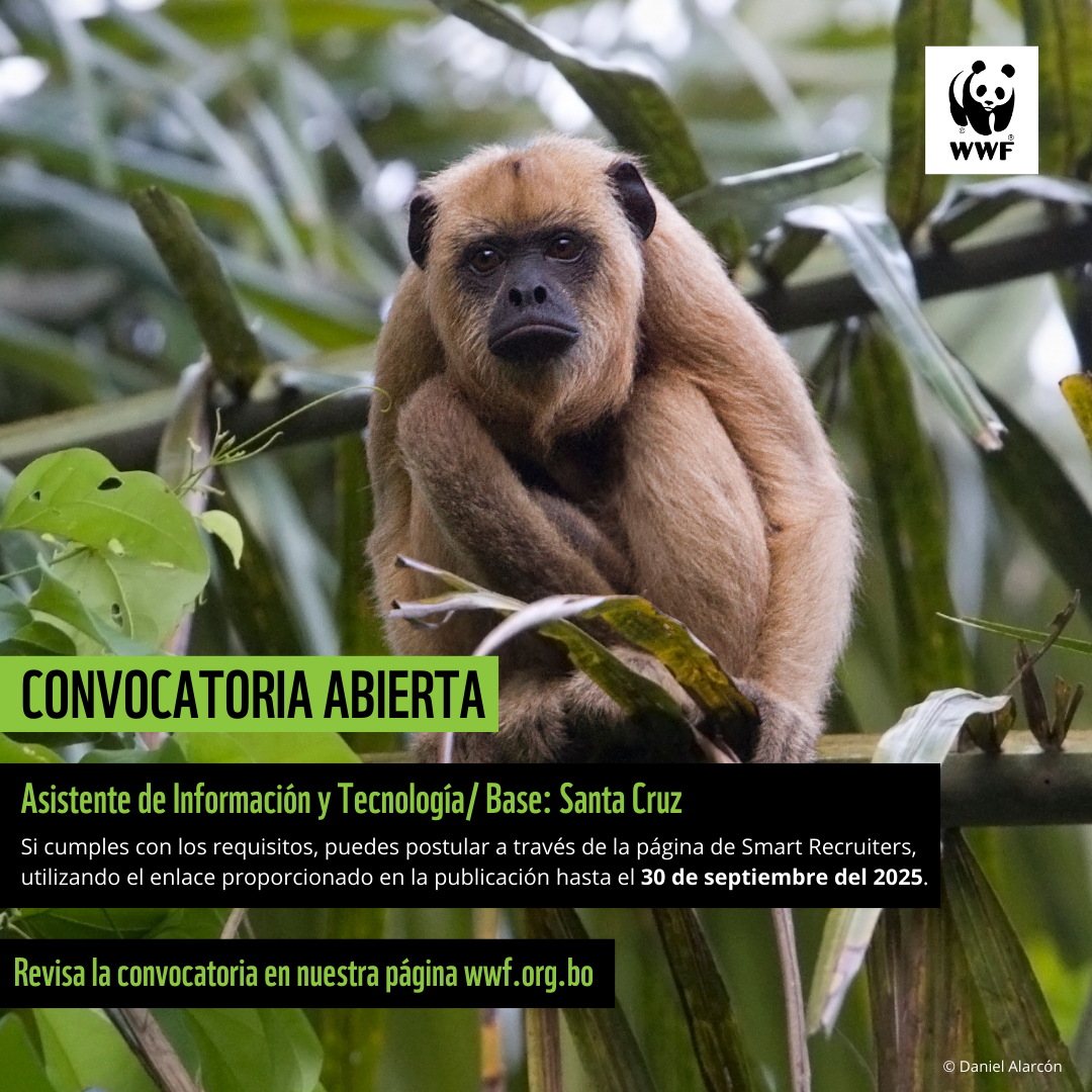Post from WWF Bolivia