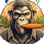 JarotDaCarot Avatar