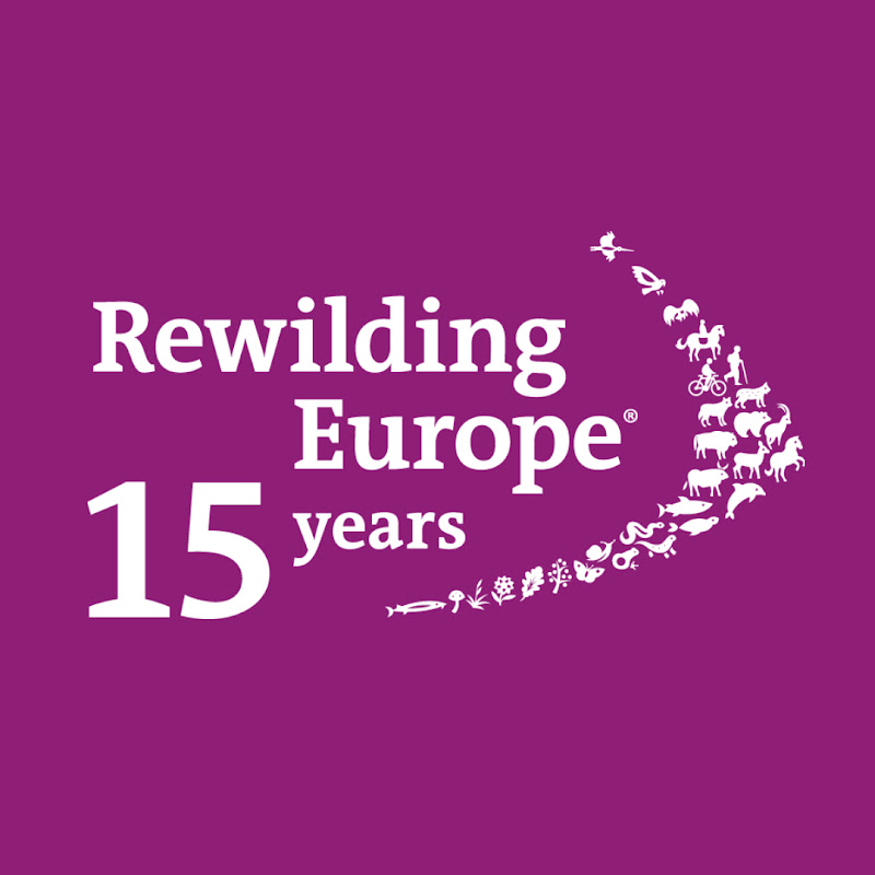 Rewilding Europe