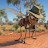 @Aussie_Mosquito
