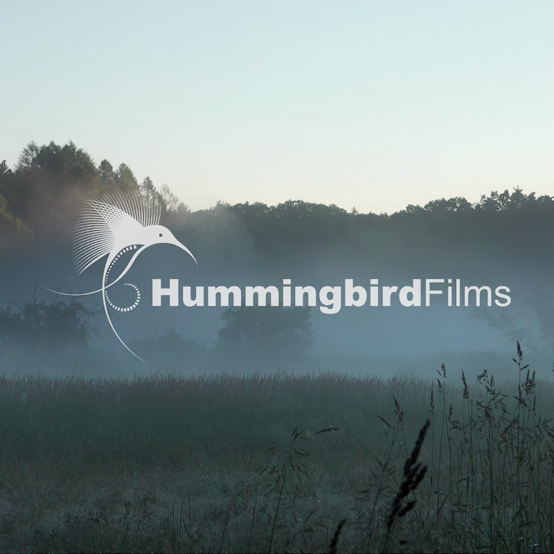 HummingbirdFilms