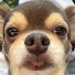 SfEWI7SpvYk-channel-avatar-히피월드 heepy World