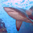 @parttime_sharktamer's avatar