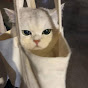 Beige베이지