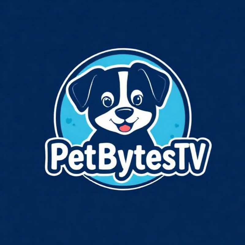 PetBytesTV