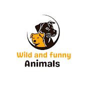 Wild and Funny Animals