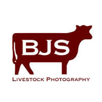 BJS Livestock Photography profile image