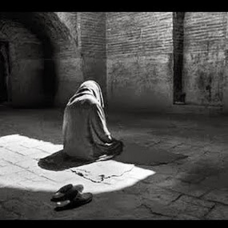 Pure Tawheed icon