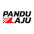 XefKlS2PpGA-channel-avatar-Pandu Laju