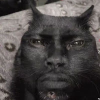 CR Aaeden profile image