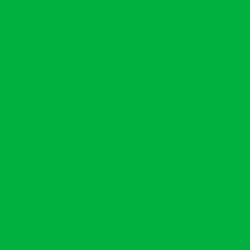 Green Mirror Hotels