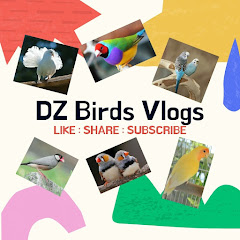Логотип каналу DZ Birds VLogs