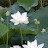 @이사라-x6n