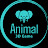 Animal 3D Game