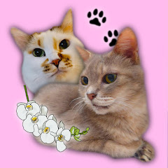 渡辺の雑編集部屋