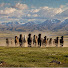 3juWMZyprdU-channel-avatar-Wild Realm