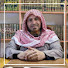 YjCPBEz2lvE-channel-avatar-د. مجدي عثمان غزلان