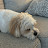 @JasonLee-7979