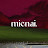 @mienaisvault's avatar