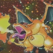 pokekatsu