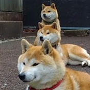 マヨネ