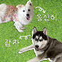 감자옹심이 Gamza-Ongsim
