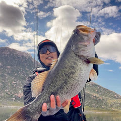 Bass Bro James
