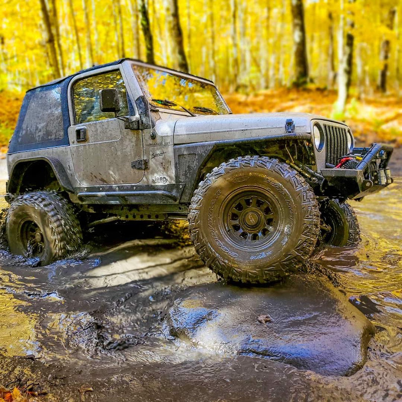 Livin in the Mitten
