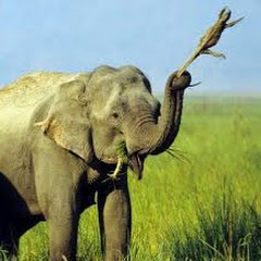 誰も知らない報告書